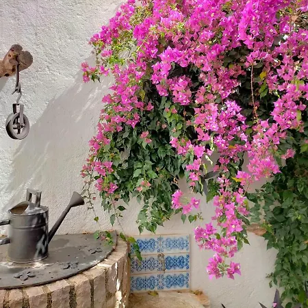 Albaga Сasa de vacaciones