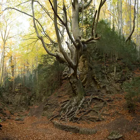 Hébergement de vacances Albaga *